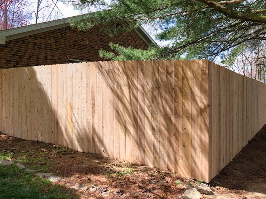 Privacy Fence