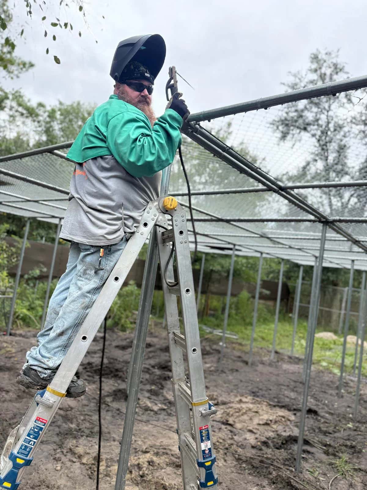 Swi Fence Florida Crew Welding Chain Link Cage 2